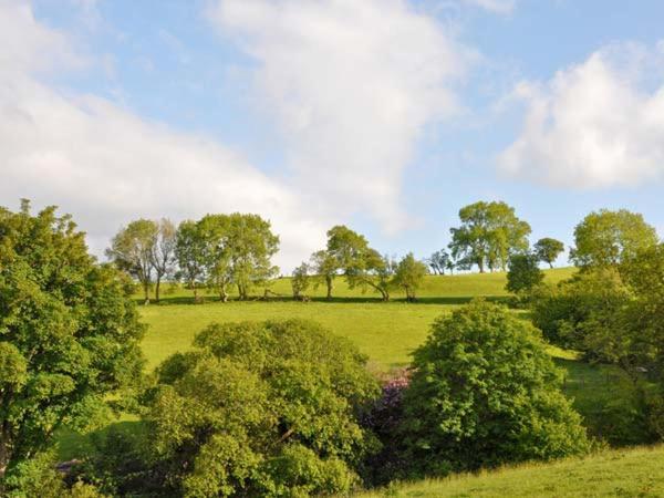 Hendre Aled Farmhouse Llansannan Eksteriør bilde